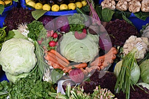 Vegetable Farm Produce on Store Grocery Shelves