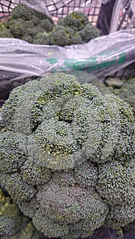 Vegetable farmer market counter. Colorful heap of various fresh organic healthy vegetables at grocery store