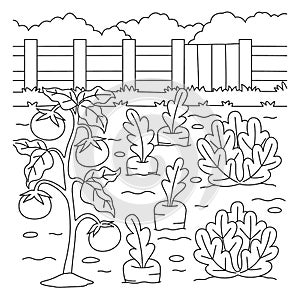 Vegetable Field Coloring Page for Kids