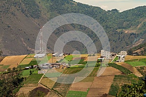 Vegetable fields near Zunil village, Guatema