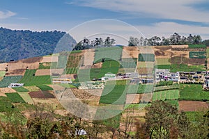 Vegetable fields near Zunil village, Guatema