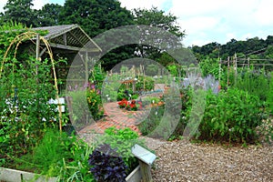 Vegetable Flower Garden