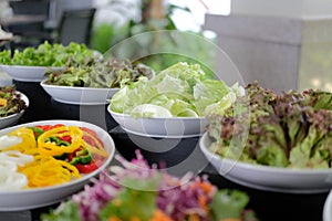 Vegetable food buffet catering in restaurant hotel. eating dining in banquet