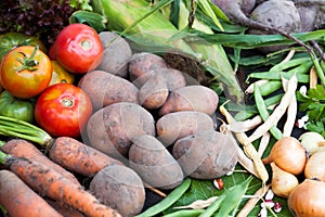 Vegetable food harvest, ripe farm agriculture background