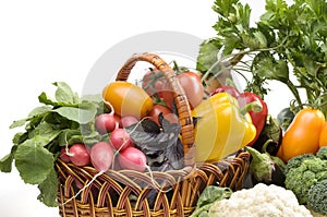 Vegetable food objects