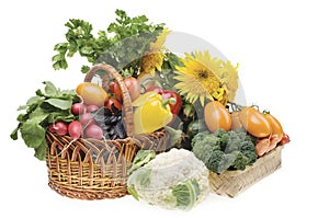 Vegetable food objects