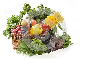 Vegetable food objects