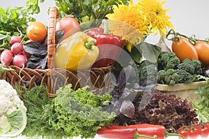 Vegetable food objects