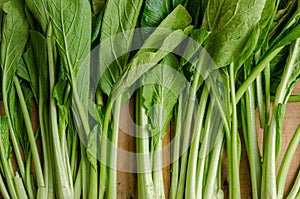 Vegetable, Fresh Green Chinese Cabbage, Bok Choy, Pok Choi or Pa