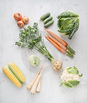 Vegetable. Fresh vegetable celery carrot onion parsnips cucumber kale cabbage kohlrabi and cauliflower on concrete background.