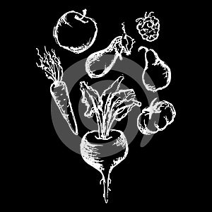 Vegetable fruit monochrome ink hand drawn set vector