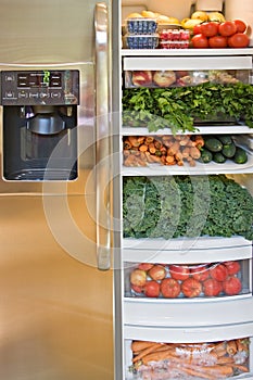 Vegetable and Fruit Stuffed Refrigerator