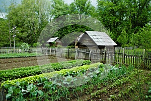 Zeleninový zahrada 