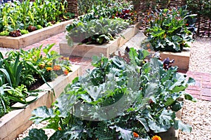 Vegetable garden