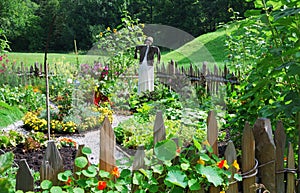 Vegetable garden