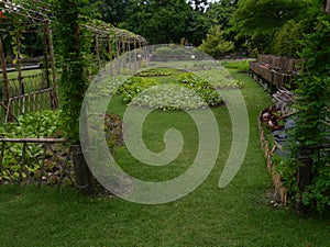 Vegetable Garden