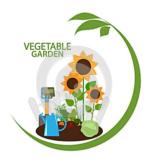 Vegetable garden