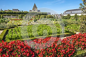 Vegetable garden with beautiful renaissance park with historic church on the background, chateau Villandry, Loire region, France.