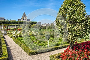 Vegetable garden with beautiful renaissance park with historic church on the background, chateau Villandry, Loire region, France.