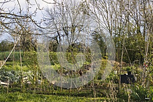 In the vegetable garden at the beginning of spring, arrangement of a structure in stakes for future crops, in the middle of early