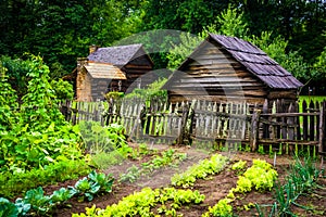 Vegetable garden and buildings at the Mountain Farm Museum in th