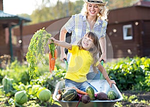 Vegetable garden - child gardener with carrots and