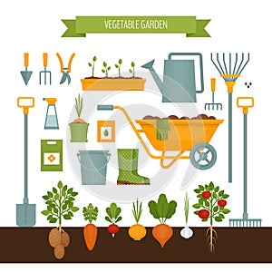 Vegetable garden. Garden tools. Flat style, vector illustration.