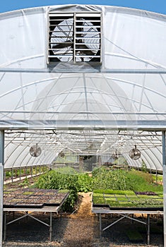 A vegetable garden greenhouse