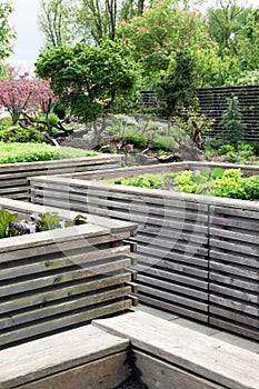 Vegetable garden with high beds