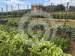 Vegetable garden at Monticello