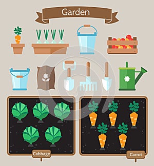 Vegetable garden planner flat design.Beds with cabbage, carrots.