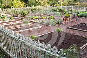 Vegetable garden plots photo