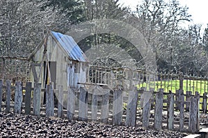 Vegetable garden with potting shed