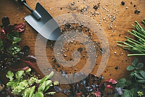 Vegetable garden shovel with seedlings and soil scattered on wooden base