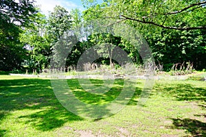 Vegetable garden