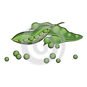 Vegetable green peas in pods and peas. Vector illustration.