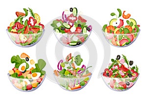 Vegetable green salads bowl. Vector flat cartoon illustration. Healthy cooking vegetarian recipes design elements