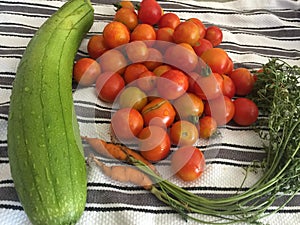Vegetable harvest