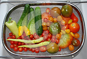 Vegetable Harvest in Kitchen Sink