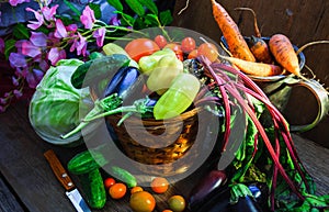 Vegetable Harvest Still Life