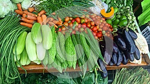 VEGETABLE HEALTY FOR LIVE FRESH FROM HARVEST