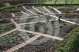 Vegetable and herb garden with harvested beds, cut perennial plants and brick footpaths in between waiting for spring