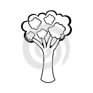 Vegetable icon image