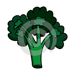 Vegetable icon image