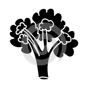 Vegetable icon image