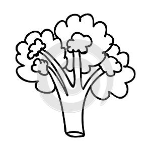 Vegetable icon image