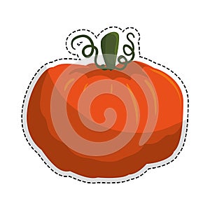 vegetable icon image