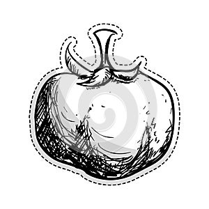 vegetable icon image