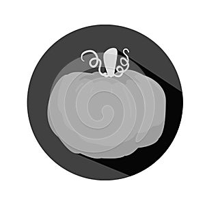 Vegetable icon image