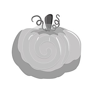 Vegetable icon image
